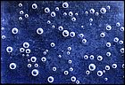 Bolle d'aria