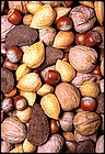 Noci