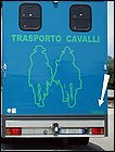 Cavalli o Cavallini?